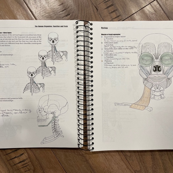 "The Human Organism: Function and Form" Spiral Book - Picture 6 of 10